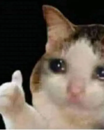 Meme card: a crying cat giving a thumbs-up